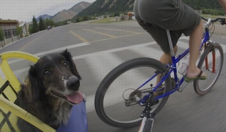 Las mejores carritos mascotas carritos para bici mascotas