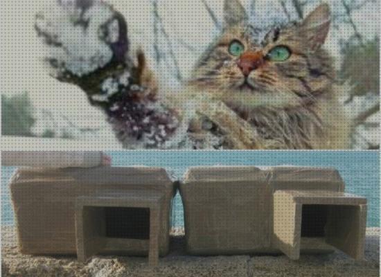 ¿Dónde poder comprar casetas gatos casetas para colonias de gatos?