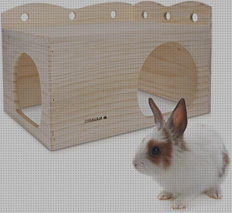¿Dónde poder comprar casitas casita para conejo enano?