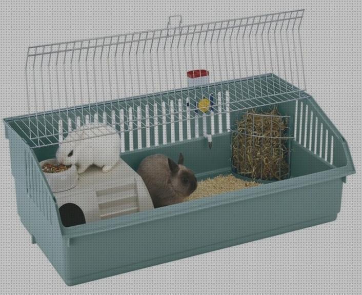 Análisis de las 38 mejores Casitas Para Conejos Con Comederos