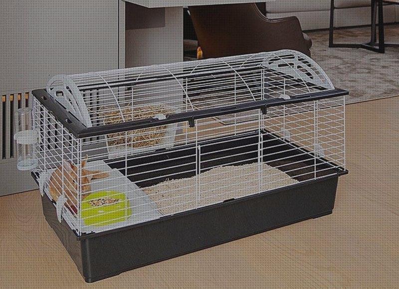 ¿Dónde poder comprar casitas conejos casitas para conejos belier?