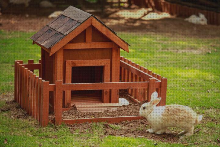 Review de casitas para conejos de madera