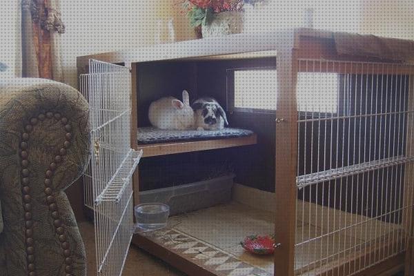 Opiniones de las 24 mejores Casitas Para Conejos Interiores
