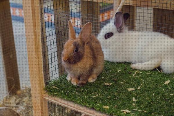 ¿Dónde poder comprar casitas conejos casitas tela para conejos?