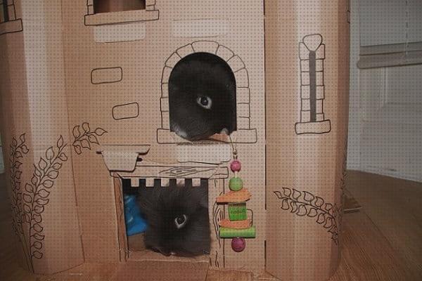 ¿Dónde poder comprar carton conejos castillo de carton para conejos?