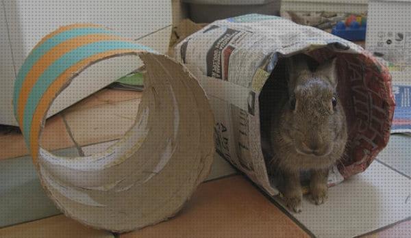 Las mejores carton conejos castillo de carton para conejos