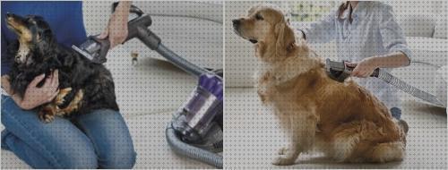 ¿Dónde poder comprar aspirador mascotas cepillo aspirador para mascotas vacuumpec?