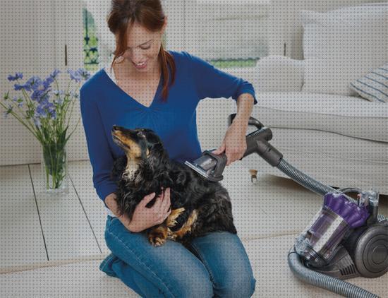 Las mejores aspirador mascotas cepillo aspirador para mascotas vacuumpec