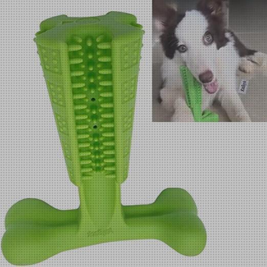 ¿Dónde poder comprar collie cepillo de dientes para border collie?