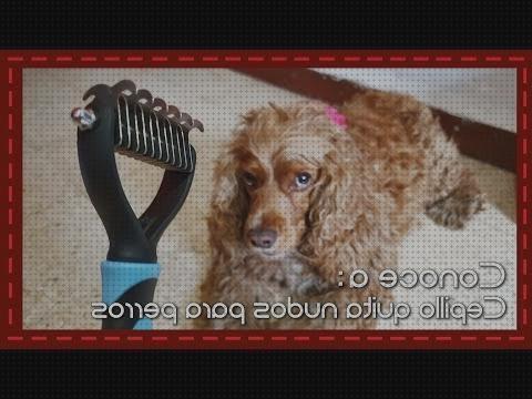 ¿Dónde poder comprar caniche cepillo quita nudos electrico para perro caniche?