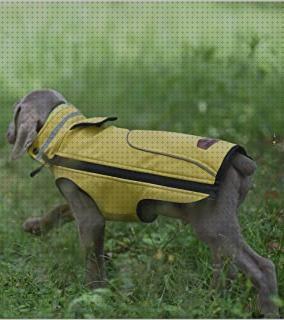 ¿Dónde poder comprar chalecos chalecos anticortes para perro de caza de jabali dogo galgo?