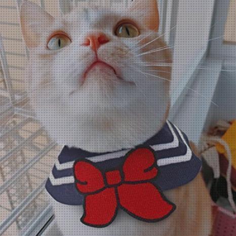 Las mejores marcas de collares collar con pañuelo para gato