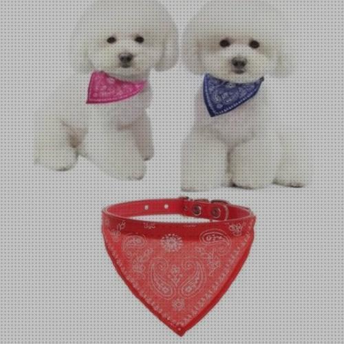 Los 20 Mejores Collares Con Pañuelos Para Mascotas