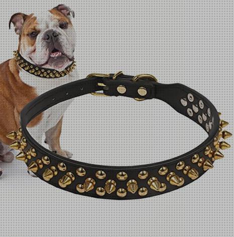 Review de collar de puas para perros