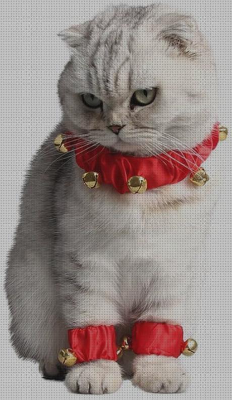 Análisis de los 16 mejores Collares Elastico Para Gatos