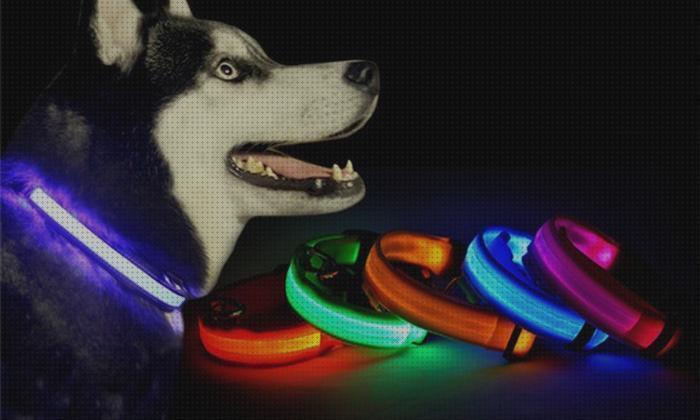 ¿Dónde poder comprar collares mascotas collares led para mascotas?