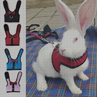 ¿Dónde poder comprar collares conejos collares para conejos enanos?