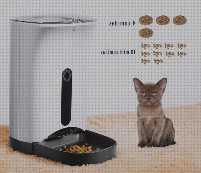 Los 14 Mejores Comederos Electronicos Para Gatos