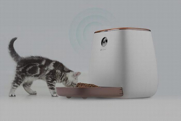Las mejores comedero gatos comedero electronico para gatos