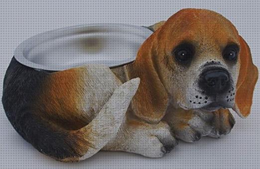 ¿Dónde poder comprar comedero comedero para beagle?