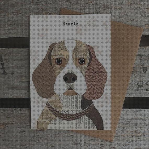 Review de comedero para beagle