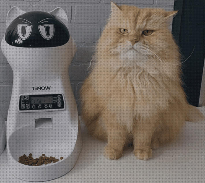Análisis de los 14 mejores Comederos Programables Para Gatos