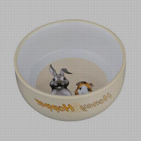 Review de comederos ceramica para conejos