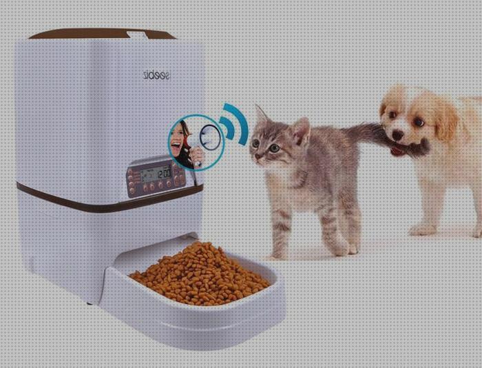 Las mejores marcas de comedero gatos comedero electronico para gatos
