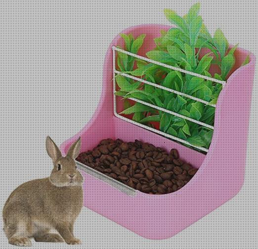 Las mejores marcas de comedero conejos comedero miscotas para conejos