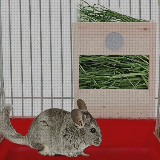 Los mejores 27 Comederos Para Conejos Anti Ratas