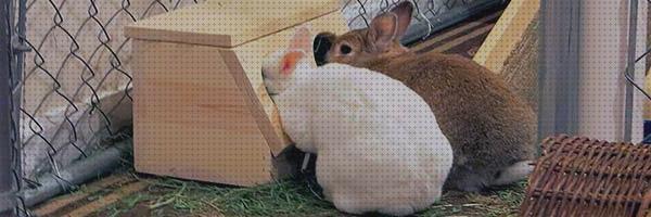Las mejores comederos conejos comederos para conejos artesanales