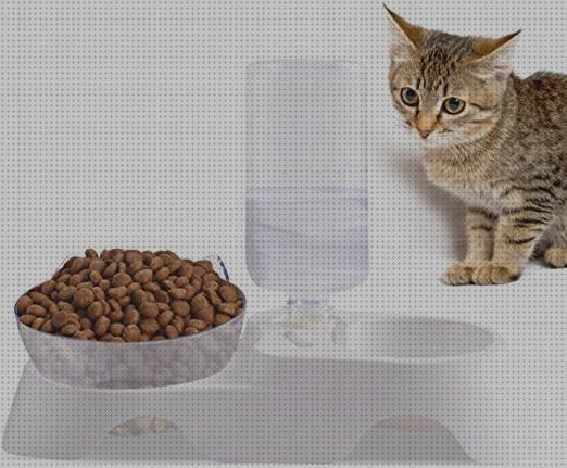 Las mejores marcas de bebederos gatos comederos y bebederos automaticos para gatos