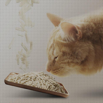 ¿Dónde poder comprar comprar gatos comprar arena para gatos al por mayor?