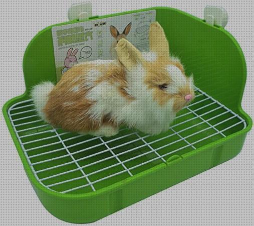¿Dónde poder comprar comprar conejos comprar caja de arena para conejos?