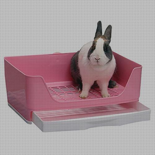 Las mejores comprar conejos comprar caja de arena para conejos