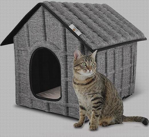 ¿Dónde poder comprar comprar gatos comprar casa para gatos?