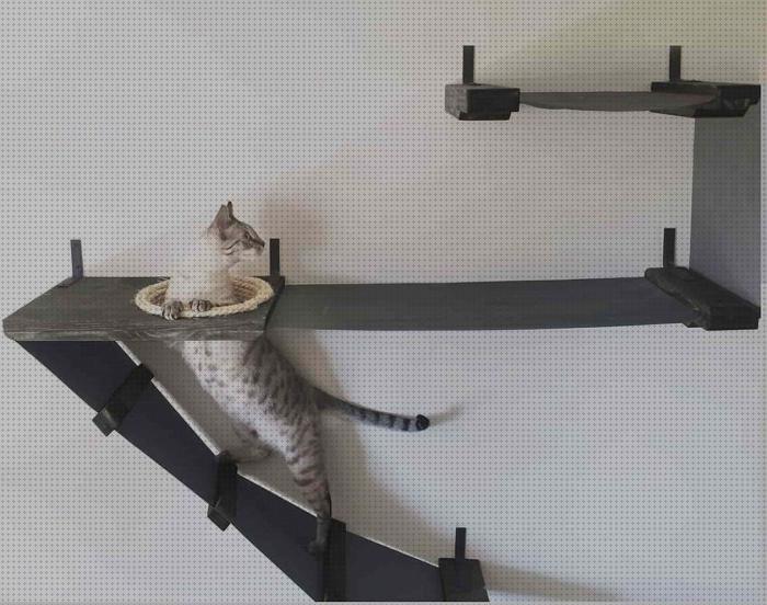 Las mejores marcas de comprar gatos comprar escalera para gatos