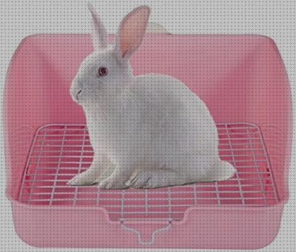 Las mejores marcas de comprar conejos comprar esquinero para conejos