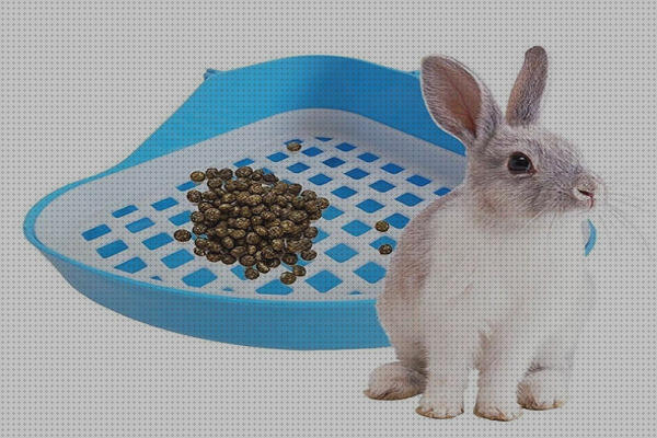 Review de comprar esquinero para conejos