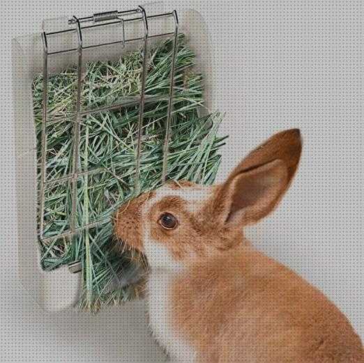 Análisis de los 30 mejores Comprar Percha Para Henos Conejos