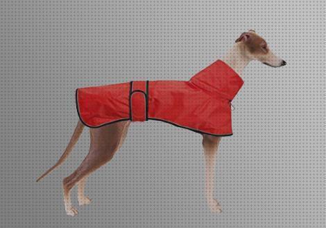 Los mejores 30 Comprar Ropas Para Galgos