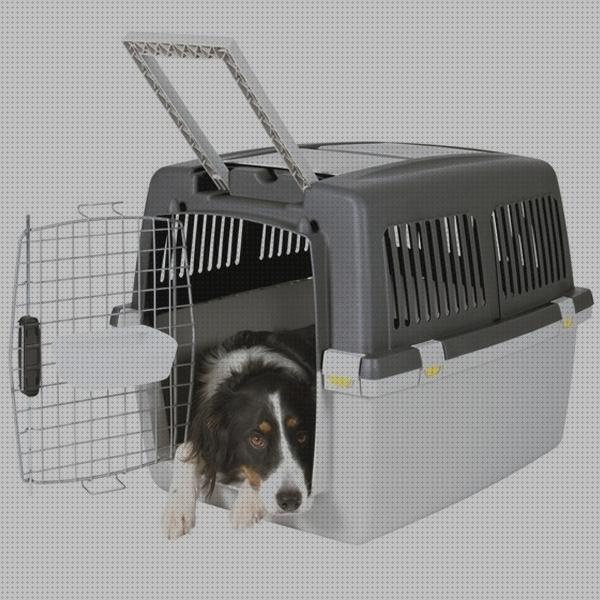 ¿Dónde poder comprar collie comprar comprar transportin para border collie?