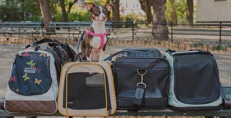 Las mejores collie comprar comprar transportin para border collie