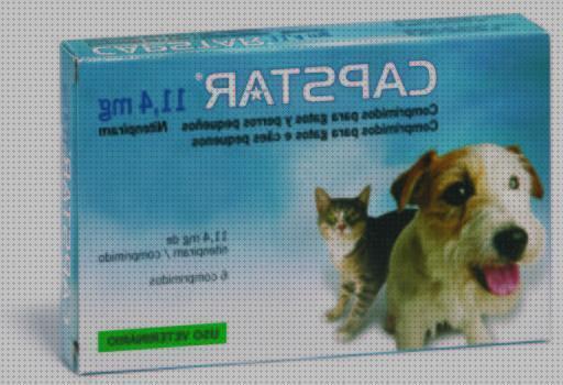 Review de comprimidos antipulgas para gatos