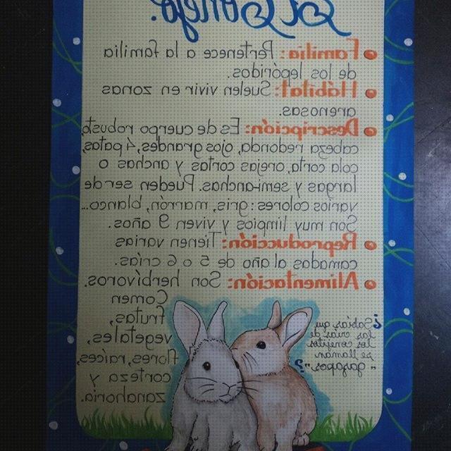 ¿Dónde poder comprar niños conejos conejos para niños de primaria?