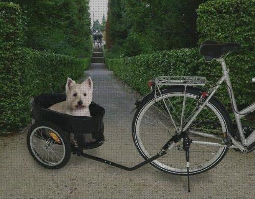 ¿Dónde poder comprar bicicletas mascotas construie porta mascotas para bicicletas?
