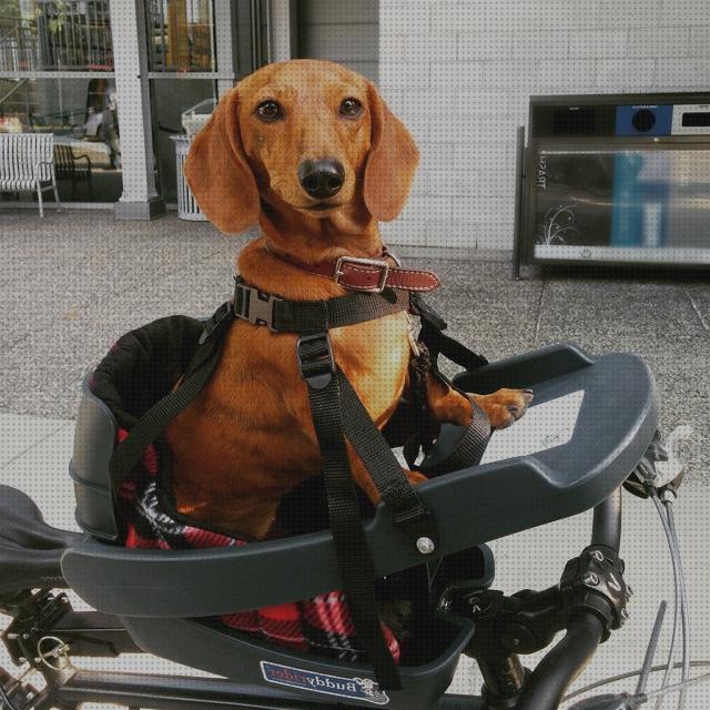 Opiniones de los 11 mejores Construie Porta Mascotas Para Bicicletas