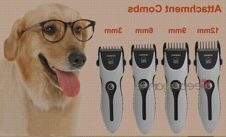 Las mejores marcas de cortadora mascotas cortadora de pelo para mascotas