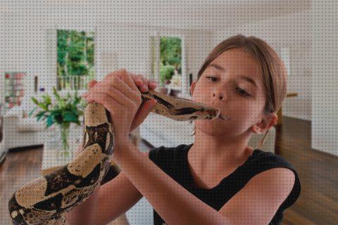 ¿Dónde poder comprar serpientes culebras?