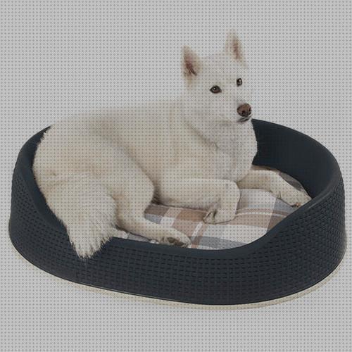 ¿Dónde poder comprar curver mascotas curver cama de plástico para mascotas?